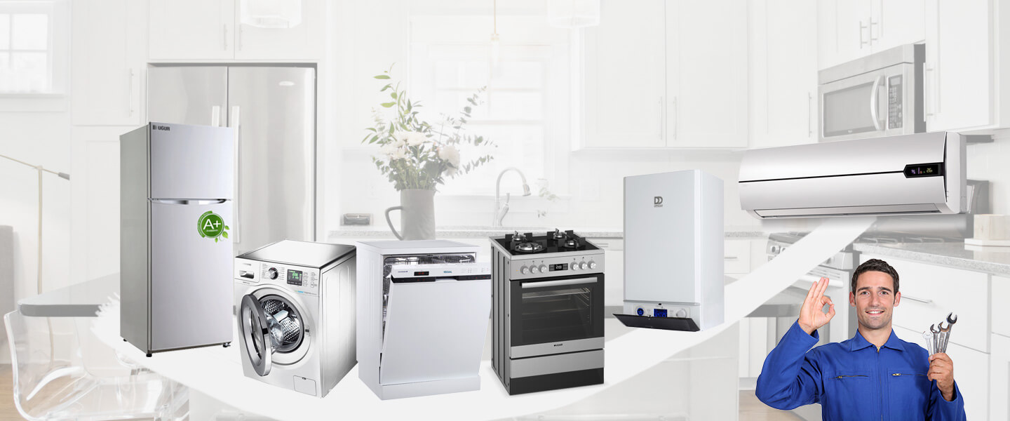 Aliağa Gaggenau Servisi